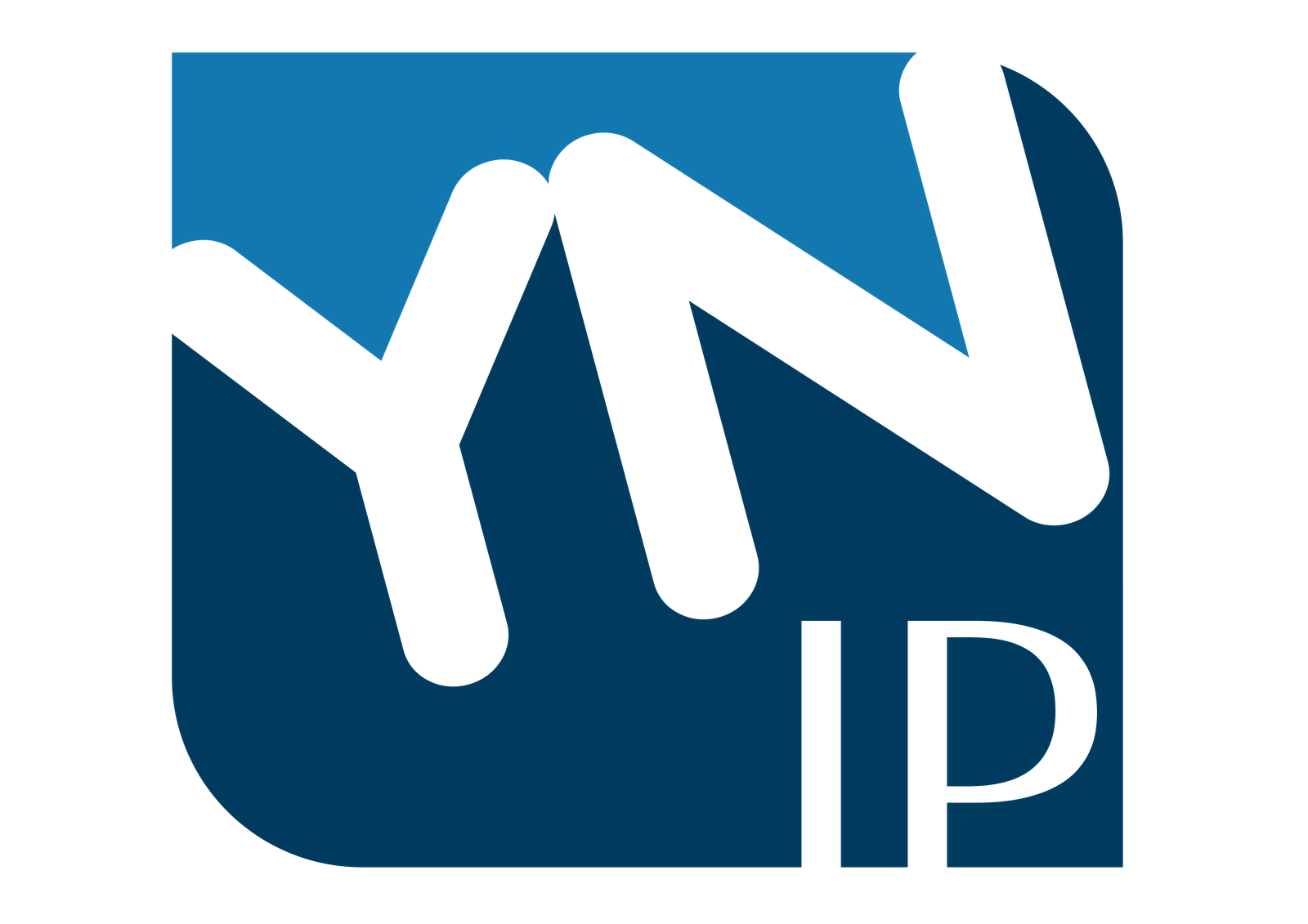 YN IP logo
